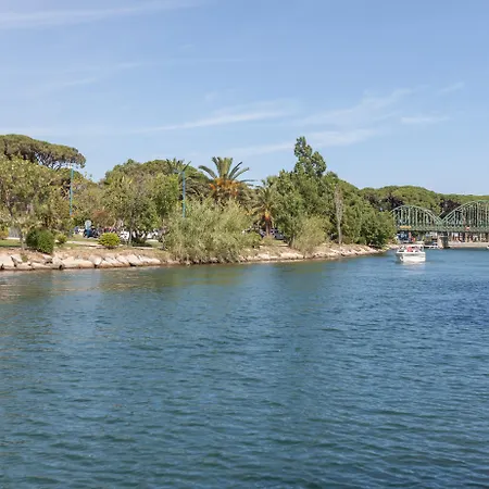 Pierre Les Rives De Cannes *